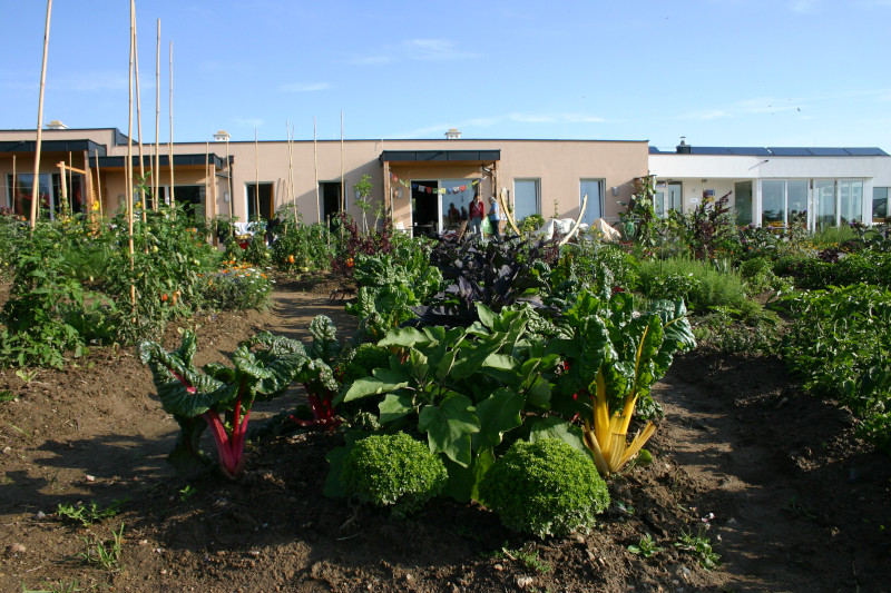 Cohousing Pomali