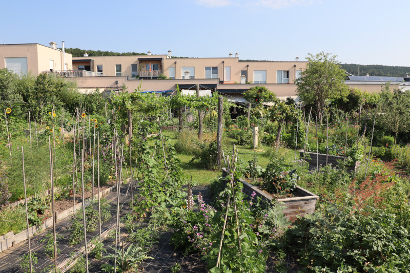 Cohousing Pomali